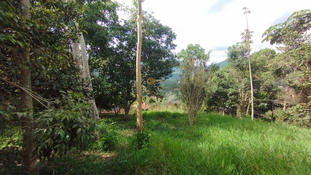 Terreno Residencial à venda em Green Valley, Teresópolis - RJ - Foto 12