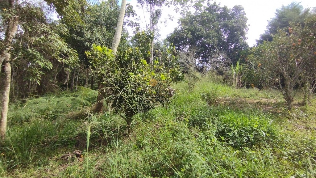 Terreno Residencial à venda em Green Valley, Teresópolis - RJ - Foto 8