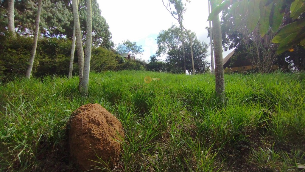 Terreno Residencial à venda em Green Valley, Teresópolis - RJ - Foto 5