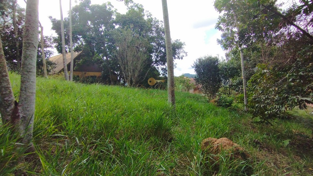 Terreno Residencial à venda em Green Valley, Teresópolis - RJ - Foto 7