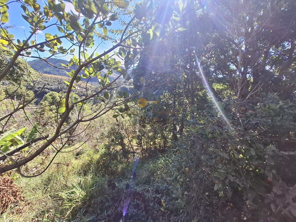 Terreno Residencial à venda em Jardim Salaco, Teresópolis - RJ - Foto 9