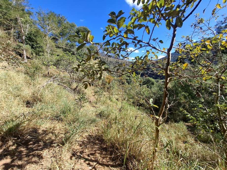Terreno Residencial à venda em Jardim Salaco, Teresópolis - RJ - Foto 6