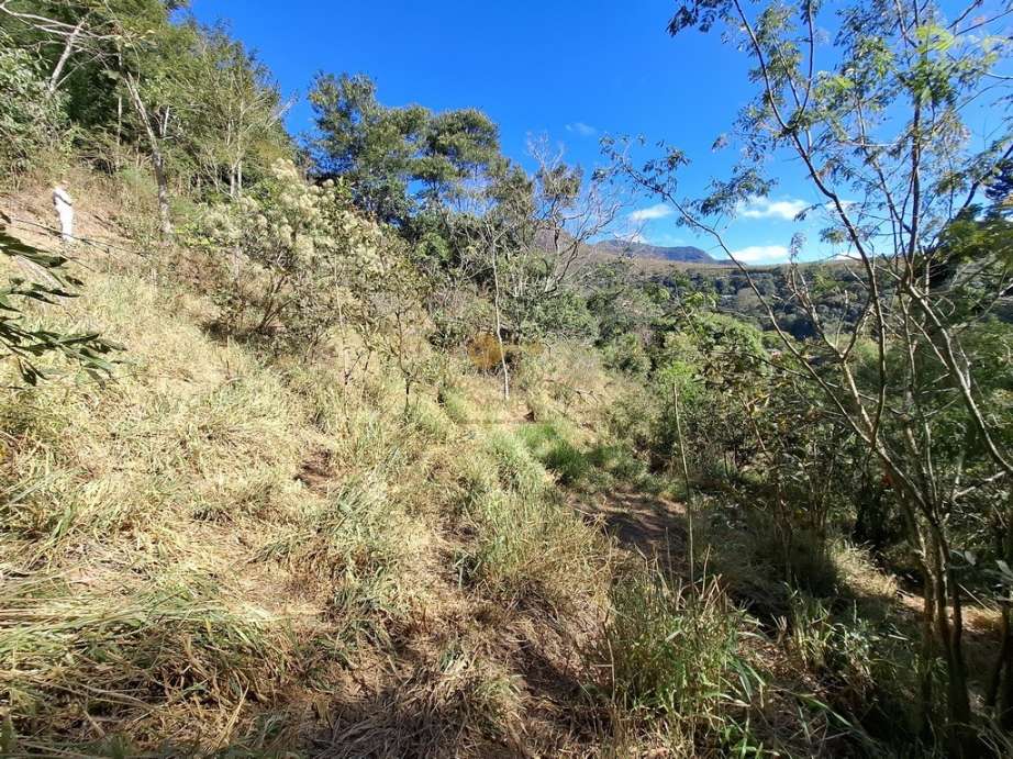 Terreno Residencial à venda em Jardim Salaco, Teresópolis - RJ - Foto 7