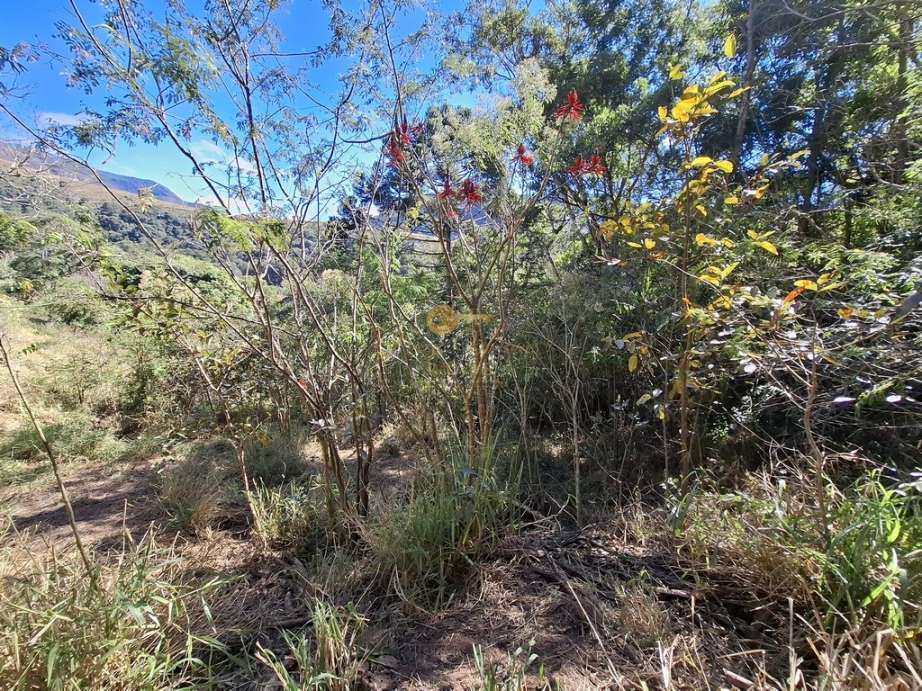 Terreno Residencial à venda em Jardim Salaco, Teresópolis - RJ - Foto 8