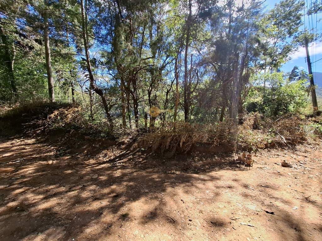 Terreno Residencial à venda em Jardim Salaco, Teresópolis - RJ - Foto 5