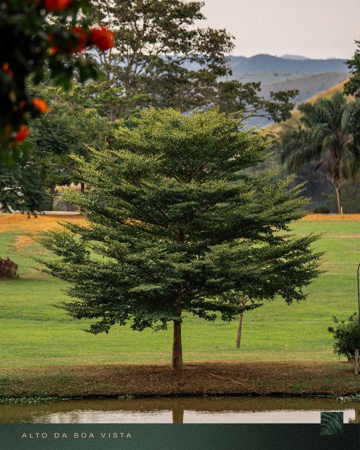 Terreno Residencial à venda em Nova Niterói, Três Rios - RJ - Foto 18