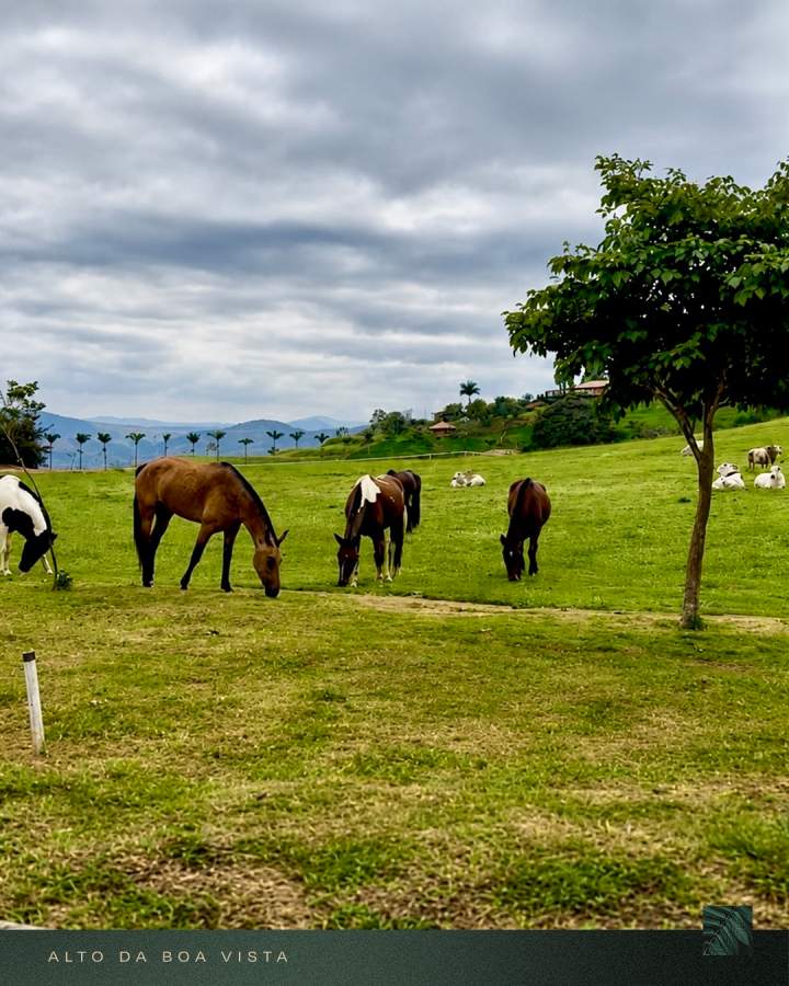 Terreno Residencial à venda em Nova Niterói, Três Rios - RJ - Foto 22