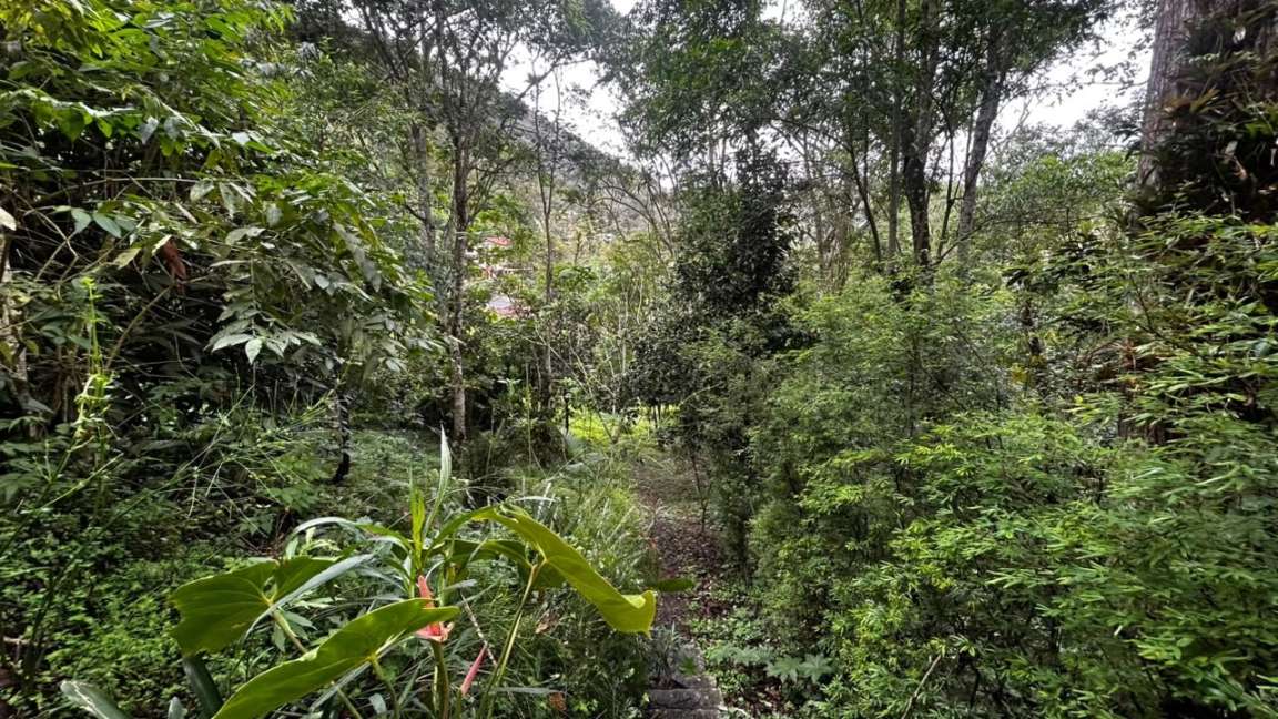 Casa à venda em Itaipava, Petrópolis - RJ - Foto 24