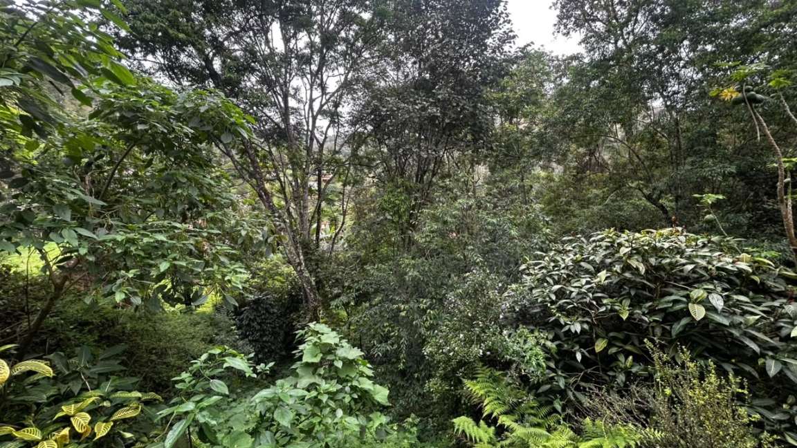 Casa à venda em Itaipava, Petrópolis - RJ - Foto 22